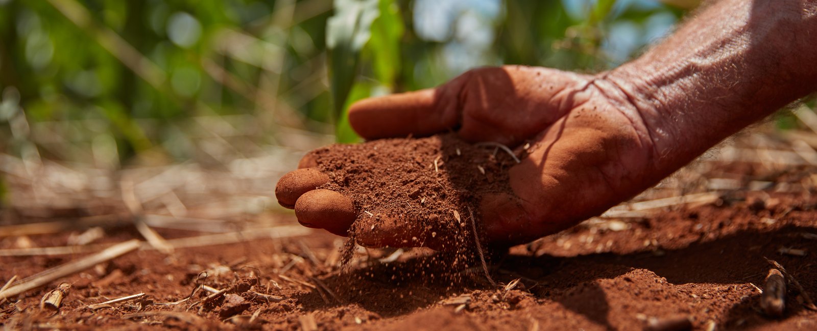 Mão tocando o solo e sentindo o pulso da Terra