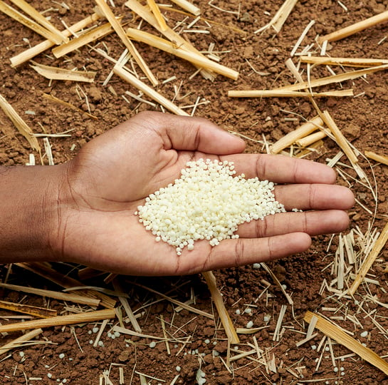 Mão com fertilizante YaraLiva NITRABOR