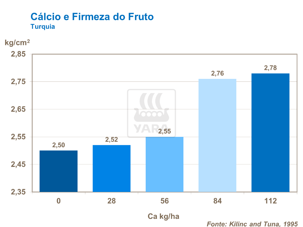 Cálcio e o Tomate