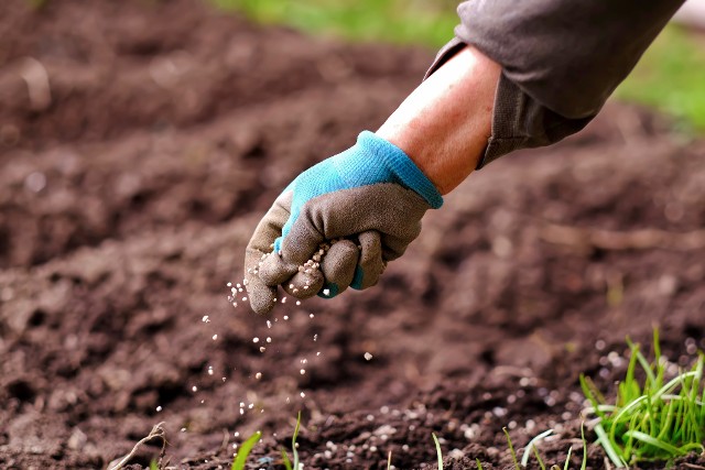 Saiba onde comprar fertilizantes agrícolas de qualidade