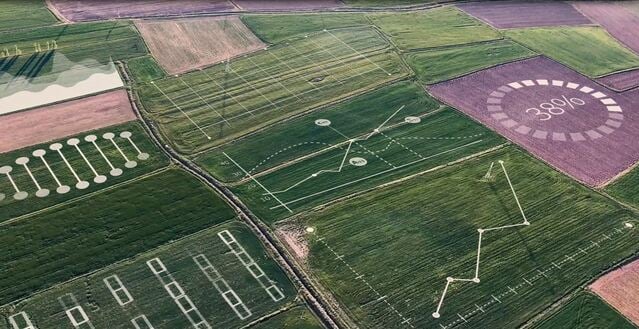 Imagem aérea da plantação